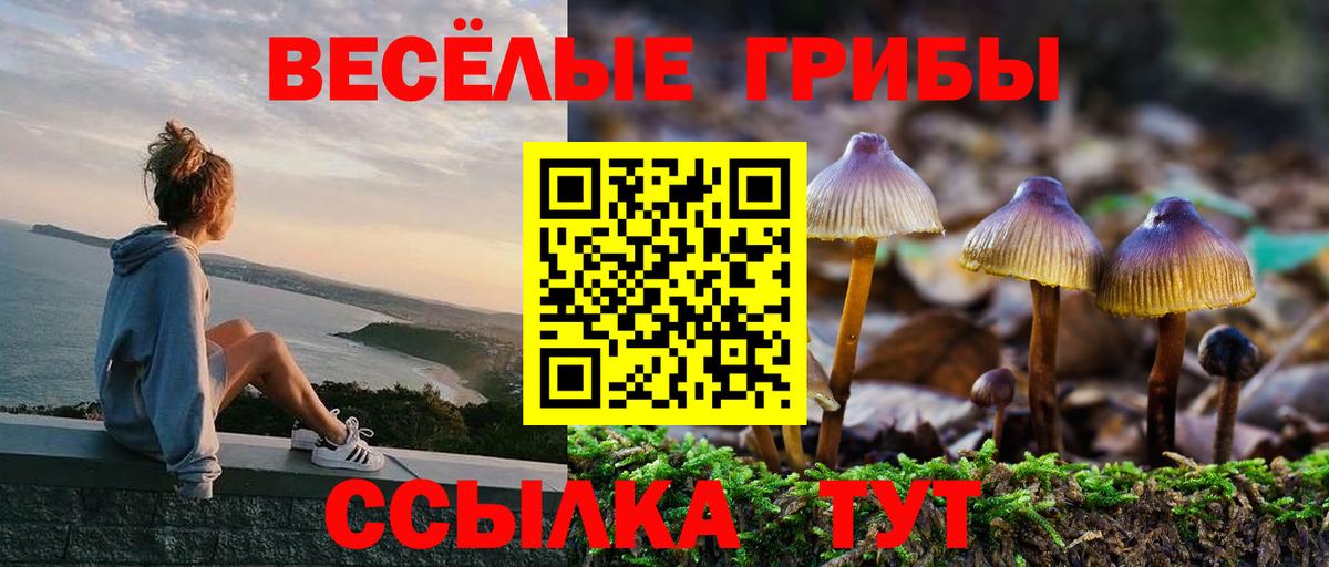 Псилоцибиновые грибы Psilocybine cubensis  Вход с VPN  Саратов  Галлюциногенные грибы ЛСД 